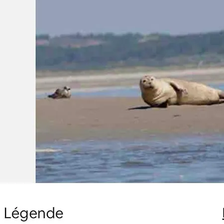 Les Coteaux Vue * Criel-sur-Mer